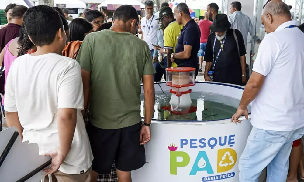 Produtores rurais que visitarem a 46ª Exposição Agropecuária de Feira de Santana encontram no estande do Governo