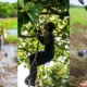 O jardim da Assembleia Legislativa da Bahia (Alba), no Centro Administrativo da Bahia (CAB), será o palco da Kong Race Experience, uma