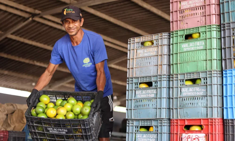 A agricultura familiar do Litoral Norte da Bahia ganhou um reforço estratégico com a inauguração da Unidade de Beneficiamento de Frutas