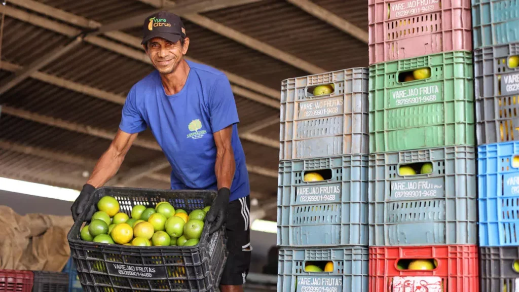A agricultura familiar do Litoral Norte da Bahia ganhou um reforço estratégico com a inauguração da Unidade de Beneficiamento de Frutas