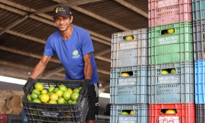 A agricultura familiar do Litoral Norte da Bahia ganhou um reforço estratégico com a inauguração da Unidade de Beneficiamento de Frutas