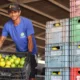 A agricultura familiar do Litoral Norte da Bahia ganhou um reforço estratégico com a inauguração da Unidade de Beneficiamento de Frutas