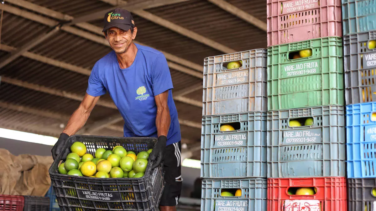 A agricultura familiar do Litoral Norte da Bahia ganhou um reforço estratégico com a inauguração da Unidade de Beneficiamento de Frutas