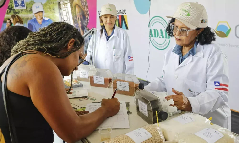 Durante a primeira quinzena de setembro, o interior da Bahia se transforma em palco de importantes eventos agropecuários