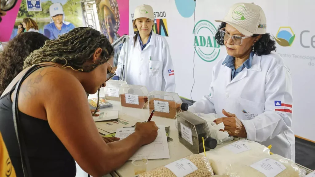 Durante a primeira quinzena de setembro, o interior da Bahia se transforma em palco de importantes eventos agropecuários