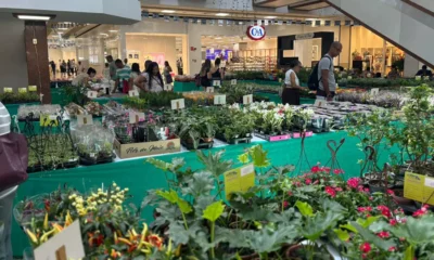 Para os amantes de flores e plantas, o Shopping Piedade está promovendo a tradicional feira de flores de Holambra,