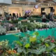 Para os amantes de flores e plantas, o Shopping Piedade está promovendo a tradicional feira de flores de Holambra,