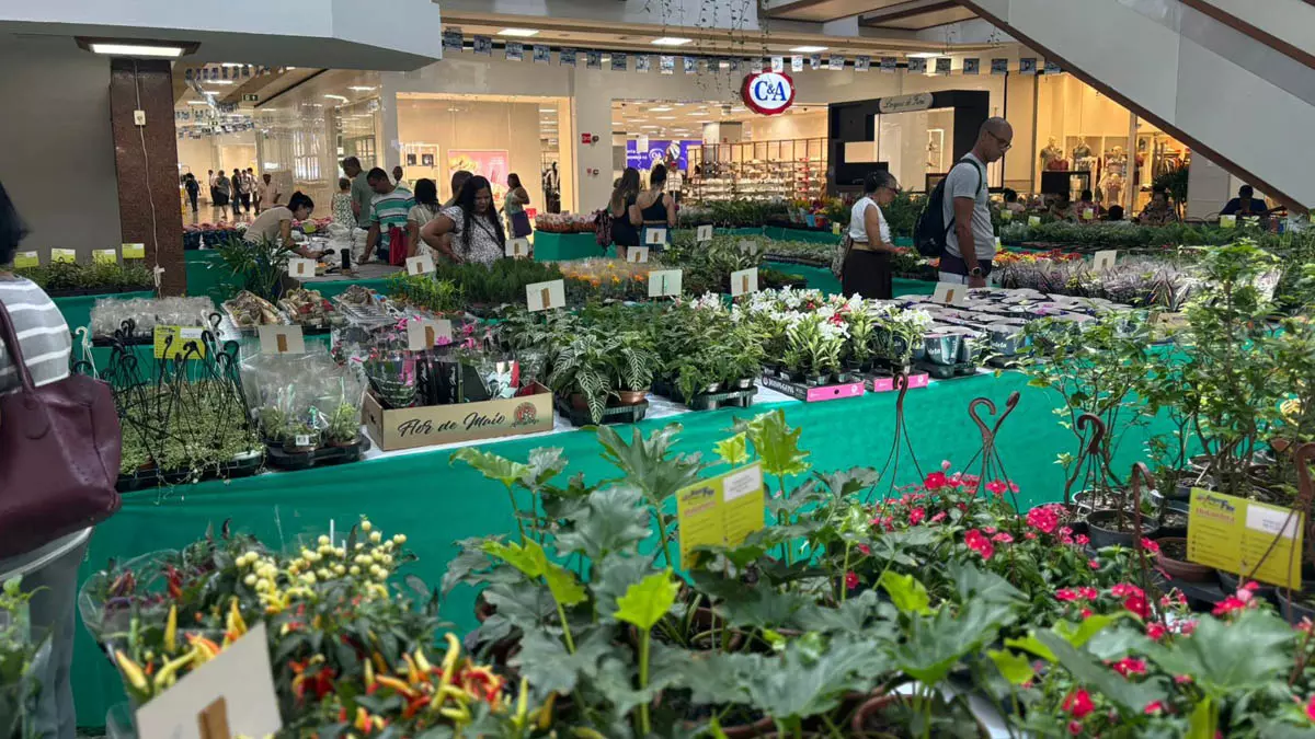 Para os amantes de flores e plantas, o Shopping Piedade está promovendo a tradicional feira de flores de Holambra,
