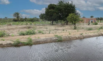 um conjunto de obras no perímetro irrigado de Ponto Novo, no Território de Identidade Piemonte Norte do Itapicuru