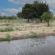 um conjunto de obras no perímetro irrigado de Ponto Novo, no Território de Identidade Piemonte Norte do Itapicuru