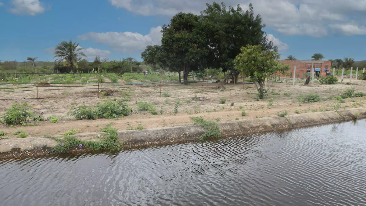 um conjunto de obras no perímetro irrigado de Ponto Novo, no Território de Identidade Piemonte Norte do Itapicuru