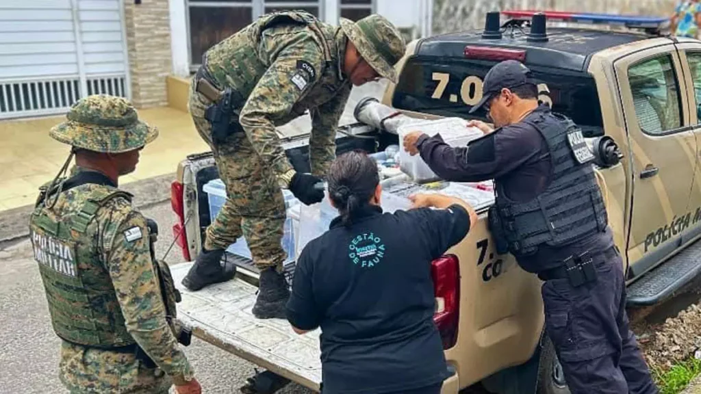 A ação conjunta, que visava ao combate ao crime ambiental, como comércio ilegal de animais silvestres, resultou na apreensão