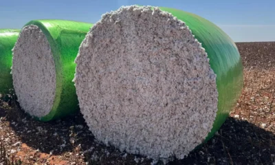 A Agência de Defesa Agropecuária da Bahia (ADAB) concedeu, por meio de Portaria e em caráter excepcional, novos prazos para conclusão