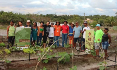 Na Comunidade Santa Rita, em Camaçari, a agricultura familiar ganhou novo significado com a implantação do Projeto Viva Horta.
