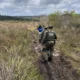 Instituto do Meio Ambiente e Recursos Hídricos (Inema) e a Companhia Independente de Policiamento e Proteção Ambiental (Cippa) de Lençóis