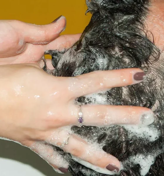 Se ligue nas vagas de emprego disponíveis no SineBahia para Salvador, RMS e interior do estado nesta segunda-feira (5).