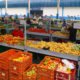 Ribeira do Pombal acaba de ampliar sua capacidade de comercialização dos produtos da agricultura familiar. Nesta sexta-feira