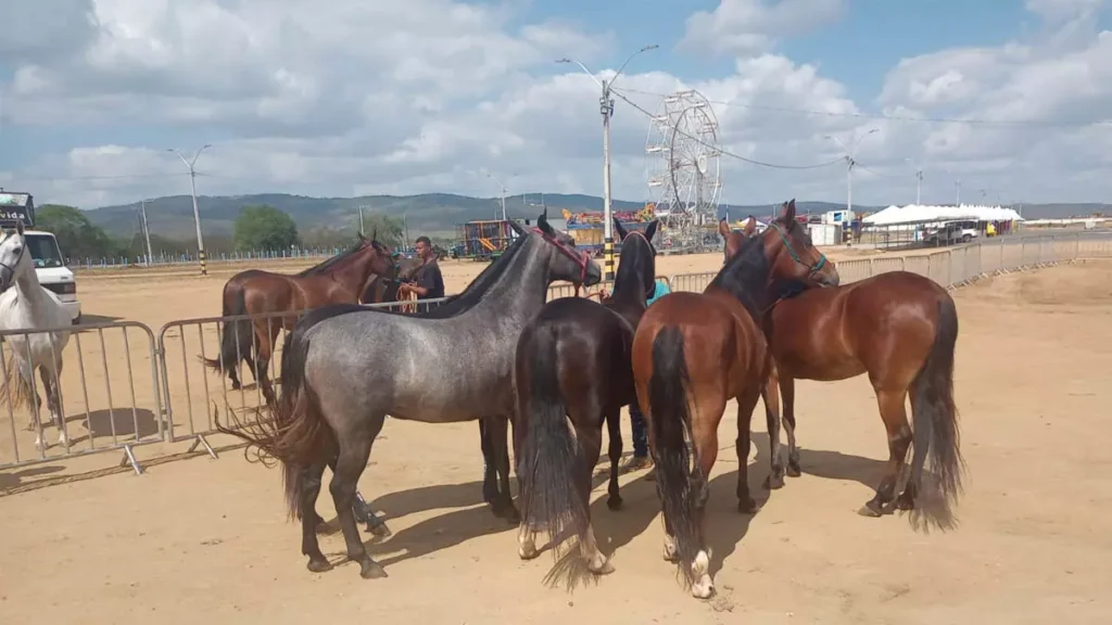 A Agência de Defesa Agropecuária da Bahia (ADAB), órgão responsável pela vigilância e defesa sanitária animal, intensificou as