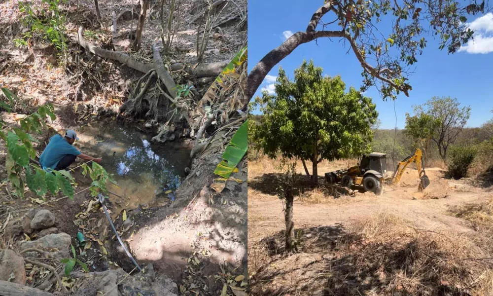 Em mais uma iniciativa de incentivo à sustentabilidade e à preservação ambiental, a Embasa uniu esforços ao projeto Nascentes
