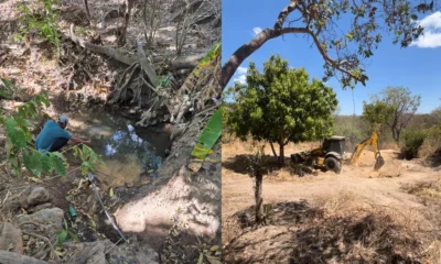 Em mais uma iniciativa de incentivo à sustentabilidade e à preservação ambiental, a Embasa uniu esforços ao projeto Nascentes