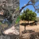 Em mais uma iniciativa de incentivo à sustentabilidade e à preservação ambiental, a Embasa uniu esforços ao projeto Nascentes