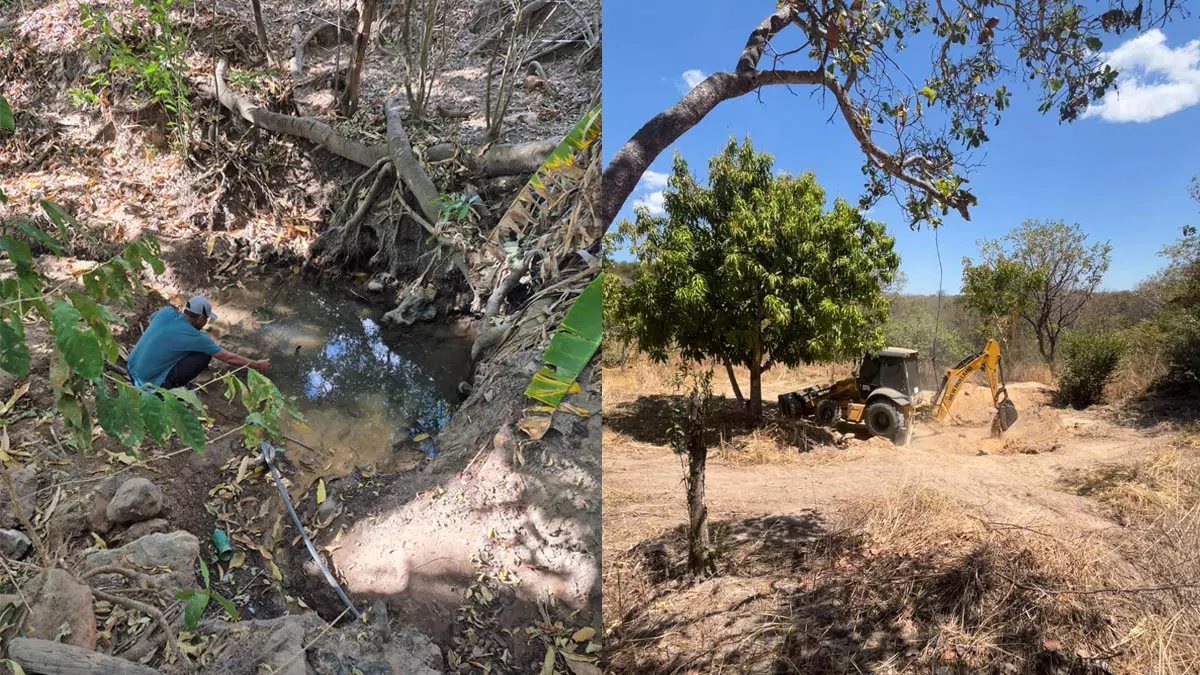 Em mais uma iniciativa de incentivo à sustentabilidade e à preservação ambiental, a Embasa uniu esforços ao projeto Nascentes