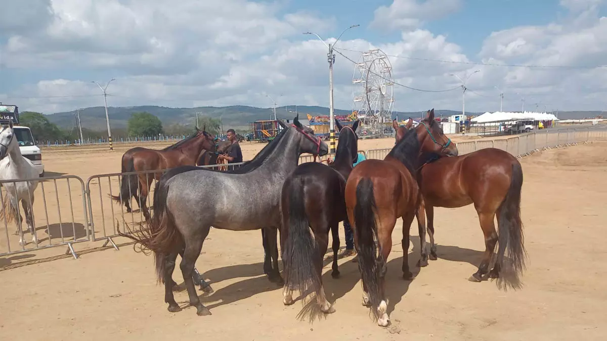 A Agência de Defesa Agropecuária da Bahia (ADAB), órgão responsável pela vigilância e defesa sanitária animal, intensificou as
