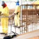 Se ligue nas vagas de emprego disponíveis no SineBahia para Salvador, RMS e interior do estado nesta terça-feira (28).