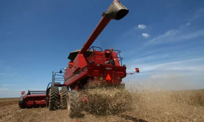 Econômicos e Sociais da Bahia (SEI), estima, para a safra de grãos 2025, uma produção de cereais, oleaginosas e leguminosas