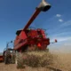 Econômicos e Sociais da Bahia (SEI), estima, para a safra de grãos 2025, uma produção de cereais, oleaginosas e leguminosas