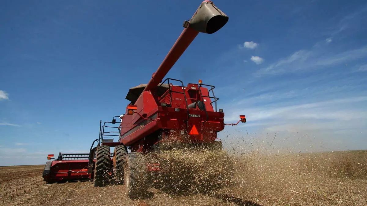 Econômicos e Sociais da Bahia (SEI), estima, para a safra de grãos 2025, uma produção de cereais, oleaginosas e leguminosas