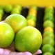 Estatística (IBGE) indicam que os principais responsáveis pelo desempenho - que seguiu na contramão do país - foram a fruticultura,