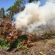 45ª CIPM, durante cumprimento da Operação Força Total, erradicaram cerca de 14 mil pés de maconha na zona rural do município de Curaçá. 