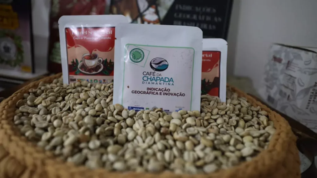Reconhecida como a maior produtora de café arábica do Norte-Nordeste brasileiro, a cidade de Barra do Choça, no Sudoeste baiano,