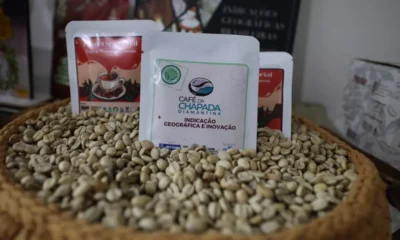 Reconhecida como a maior produtora de café arábica do Norte-Nordeste brasileiro, a cidade de Barra do Choça, no Sudoeste baiano,