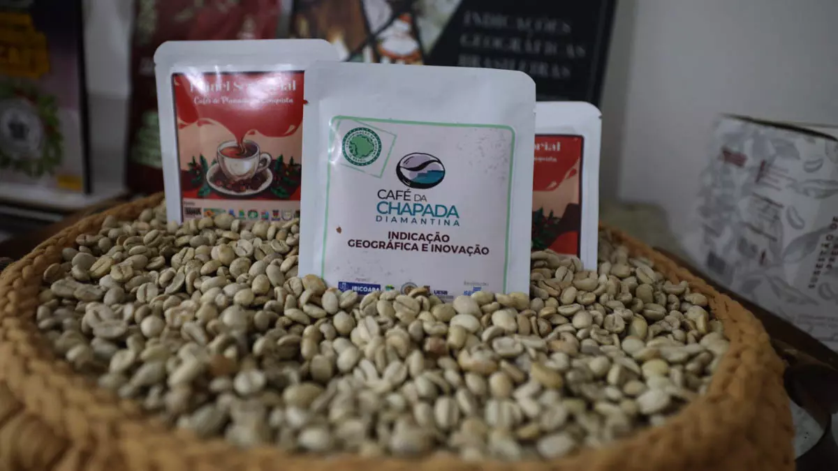 Reconhecida como a maior produtora de café arábica do Norte-Nordeste brasileiro, a cidade de Barra do Choça, no Sudoeste baiano,