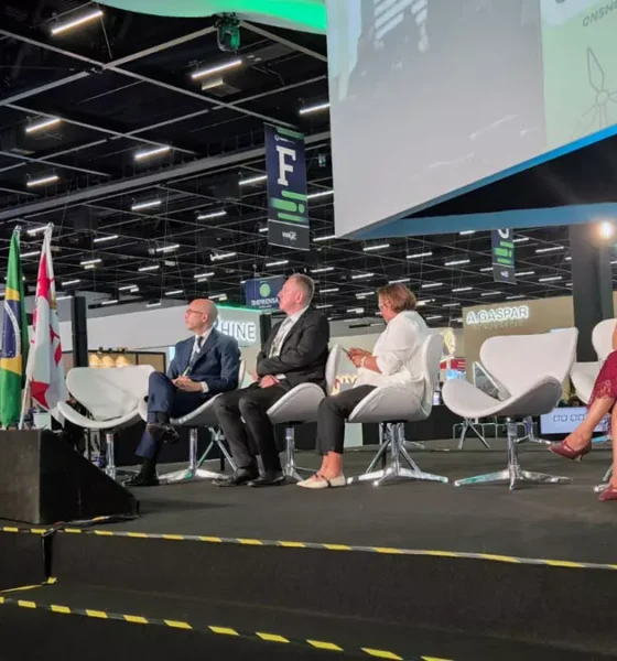 Destaque no setor de energias renováveis, a Bahia celebra a liderança nacional na geração de energia eólica, segundo os dados