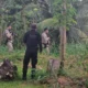 A Força Integrada de Combate ao Crime Organizado de Ilhéus (FICCO/Ilhéus), em ação conjunta com a Delegacia da Polícia Civil de Maraú,