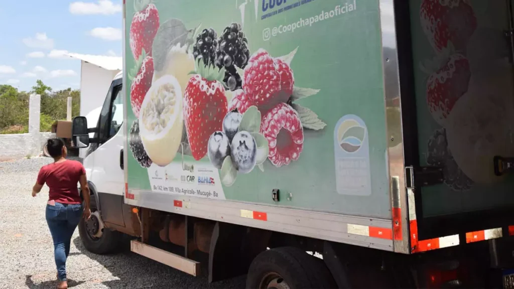 Com clima favorável, tecnologia em expansão e apoio institucional, a Chapada Diamantina se prepara para dar um salto