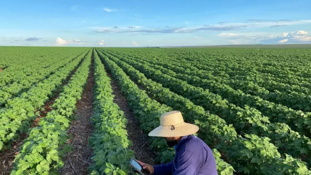 A agricultura baiana deve manter uma trajetória de expansão em 2026. Segundo a Secretaria de Agricultura, Pecuária, Irrigação,