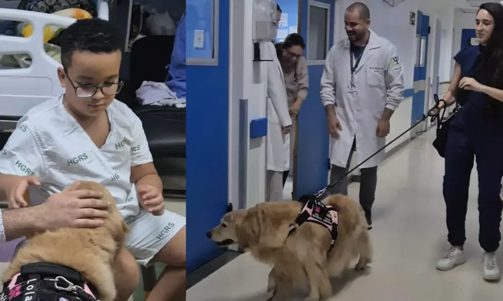 Acompanhada de sua tutora, Valentina Escobar, a cadelinha Lola transformou a rotina do Hospital Geral Roberto Santos (HGRS) em um