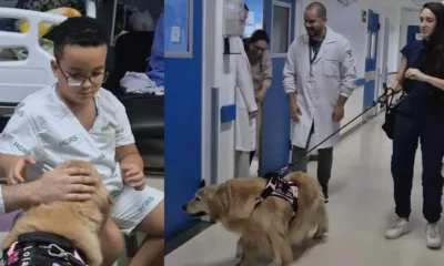 Acompanhada de sua tutora, Valentina Escobar, a cadelinha Lola transformou a rotina do Hospital Geral Roberto Santos (HGRS) em um