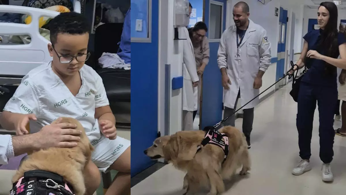 Acompanhada de sua tutora, Valentina Escobar, a cadelinha Lola transformou a rotina do Hospital Geral Roberto Santos (HGRS) em um