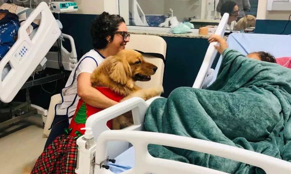 “Dra. Amie”, um cão terapeuta que com seu temperamento dócil e tranquilo acalentou corações, fomentando a alegria e o bem-estar junto