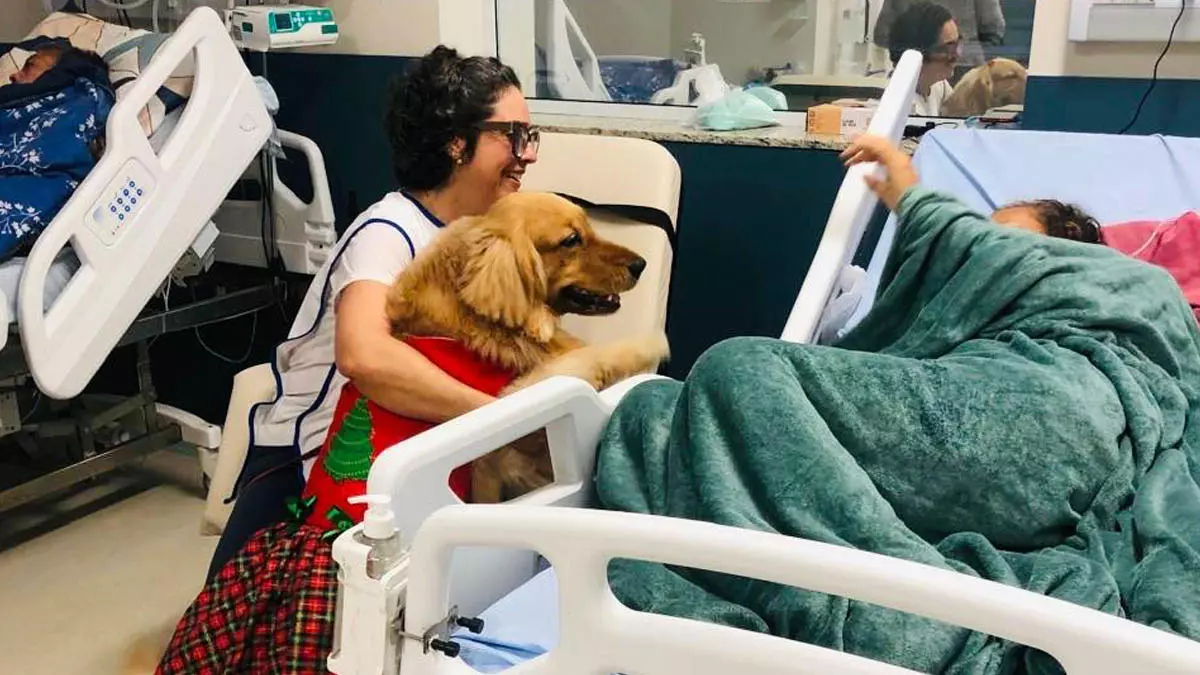 “Dra. Amie”, um cão terapeuta que com seu temperamento dócil e tranquilo acalentou corações, fomentando a alegria e o bem-estar junto