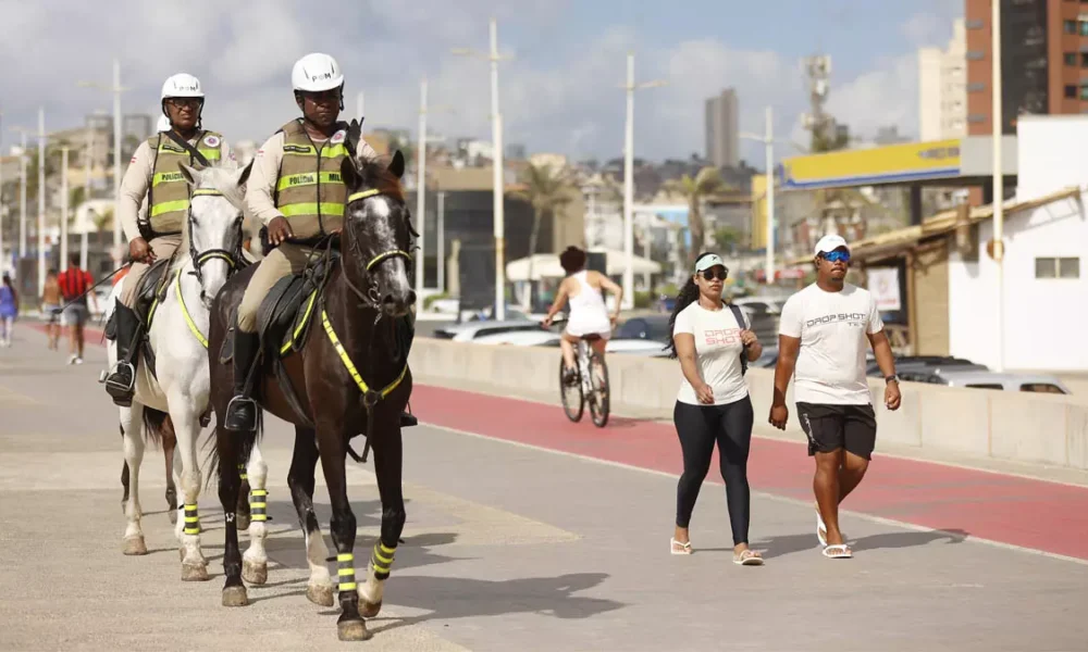 Treinados para atuar tanto em solo firme quanto na areia da praia, os cavalos da Polícia Militar da Bahia (PMBA) serão aliados