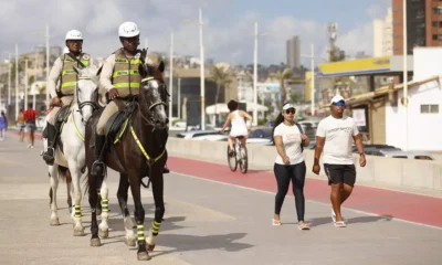 Treinados para atuar tanto em solo firme quanto na areia da praia, os cavalos da Polícia Militar da Bahia (PMBA) serão aliados
