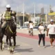 Treinados para atuar tanto em solo firme quanto na areia da praia, os cavalos da Polícia Militar da Bahia (PMBA) serão aliados