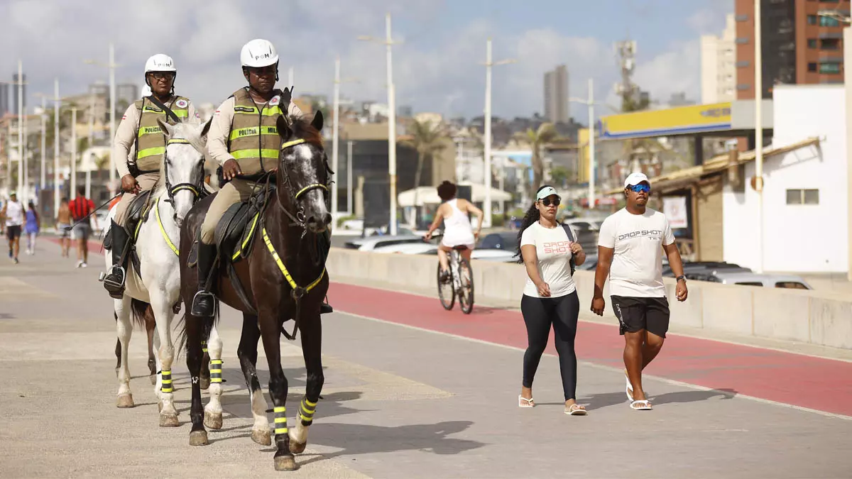 Treinados para atuar tanto em solo firme quanto na areia da praia, os cavalos da Polícia Militar da Bahia (PMBA) serão aliados