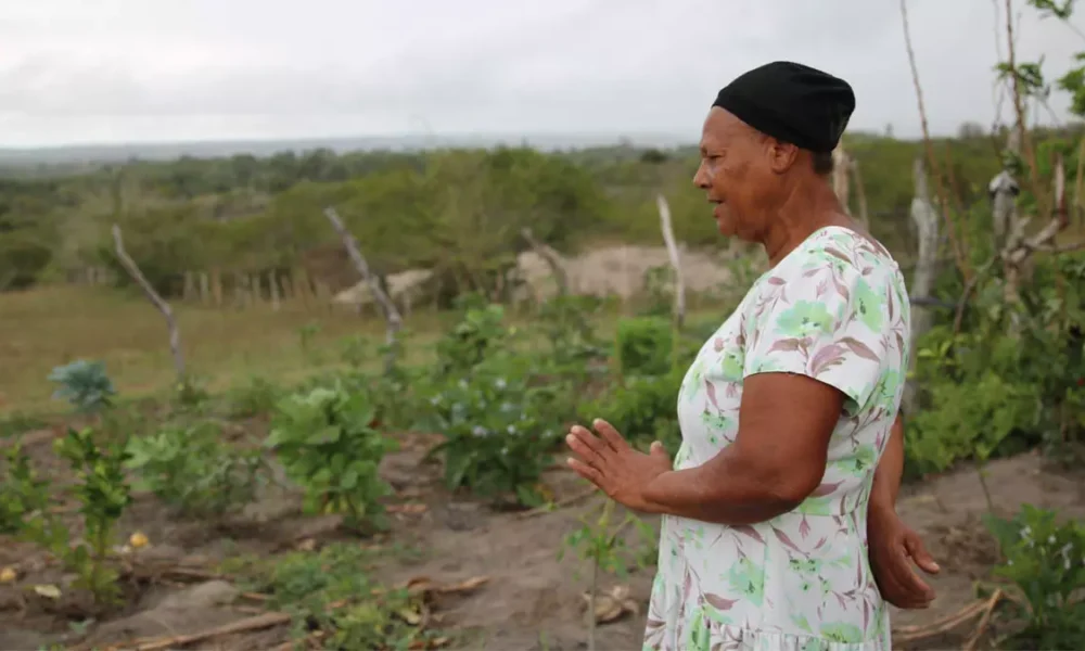 ano após ano, os desafios impostos pela irregularidade das chuvas. Entre a esperança da colheita e a incerteza do clima, o Garantia-Safra